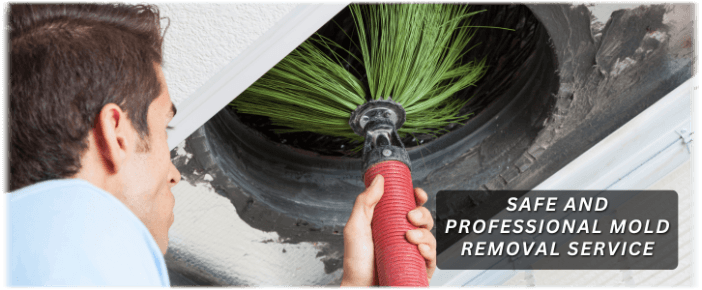 Air Duct Mold Removal in Gilbert