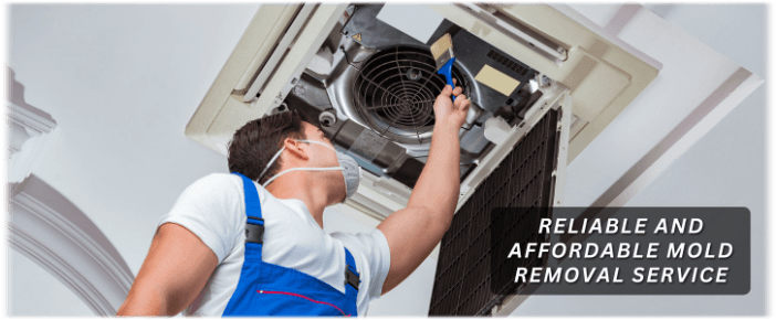 HVAC Mold Removal Gilbert